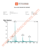 GHK-Cu 50mg Copper Peptide - Image 4
