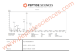 BPC-157, TB-500, GHK-Cu 60mg (Glow Blend) - Image 4
